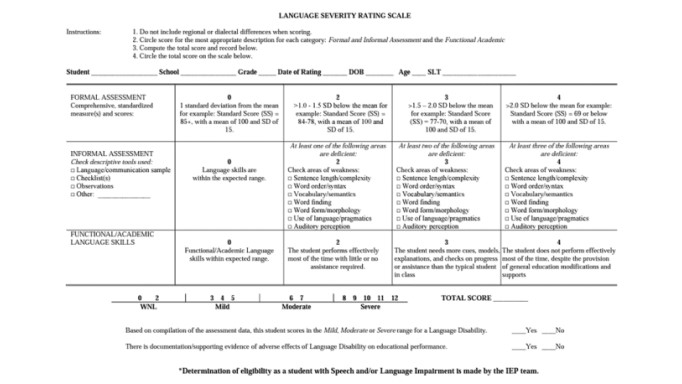 easyReportPRO blog - Severity Rating Scale